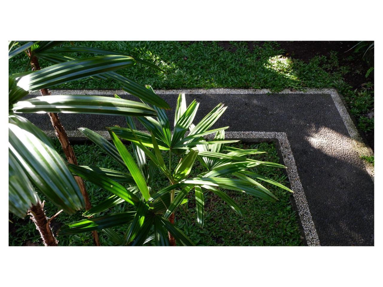 In Da Garden Apartamento Ubud Exterior foto