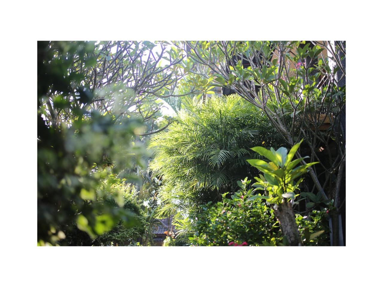 In Da Garden Apartamento Ubud Exterior foto
